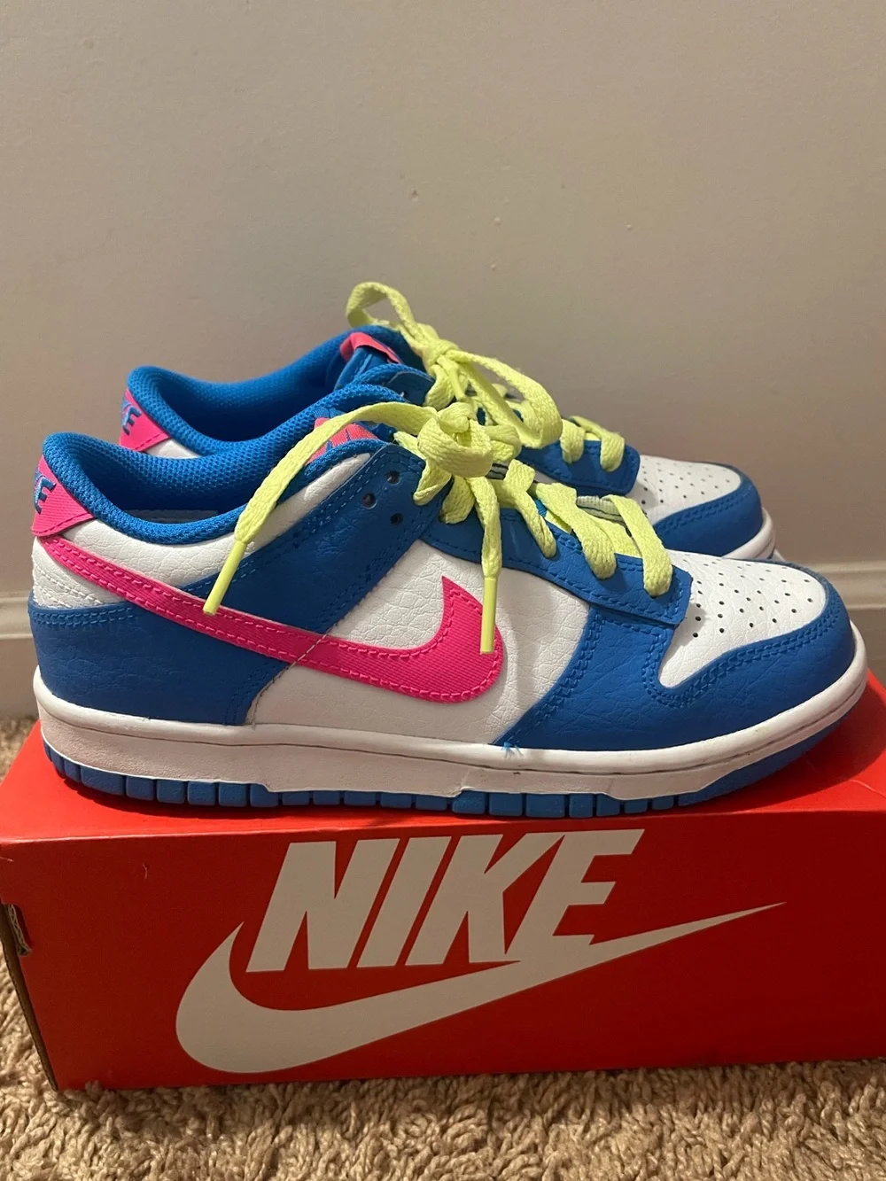 Nike Dunk